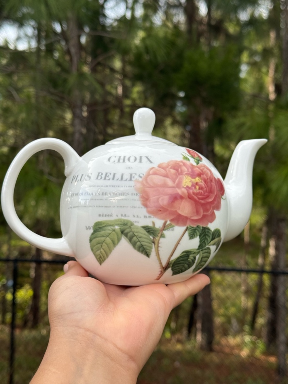 Queen Charlotte Floral Teapot with Pink Rose Motif